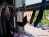 Liz Clay Workshop 